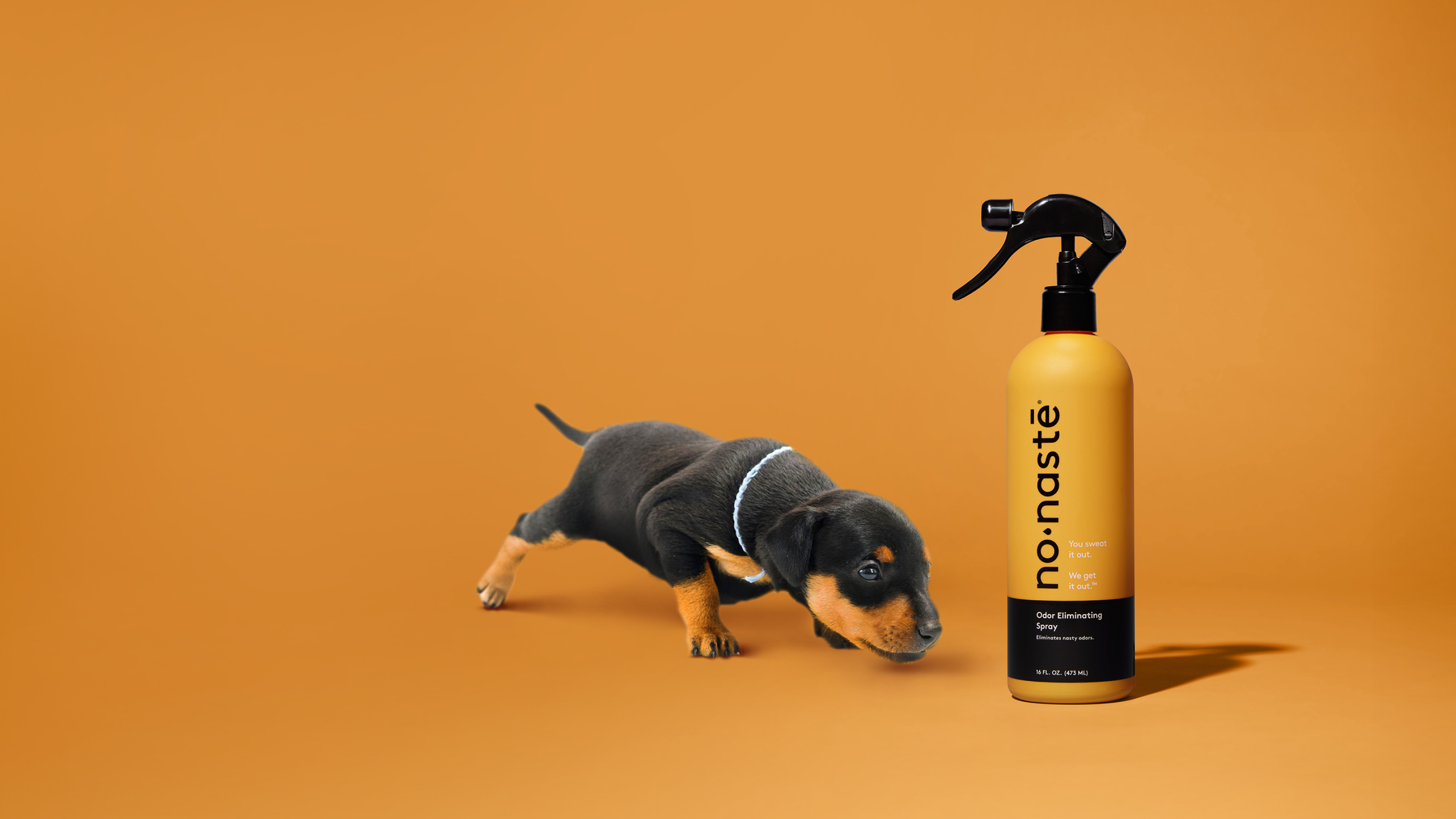 Beyond Activewear: Surprising Uses for Nonaste Products