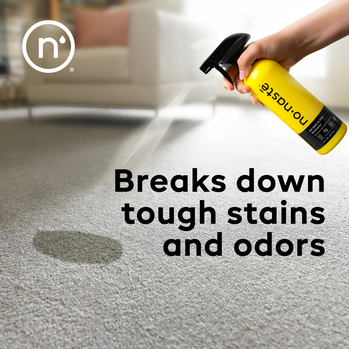 Pet Stain & Odor Eliminator