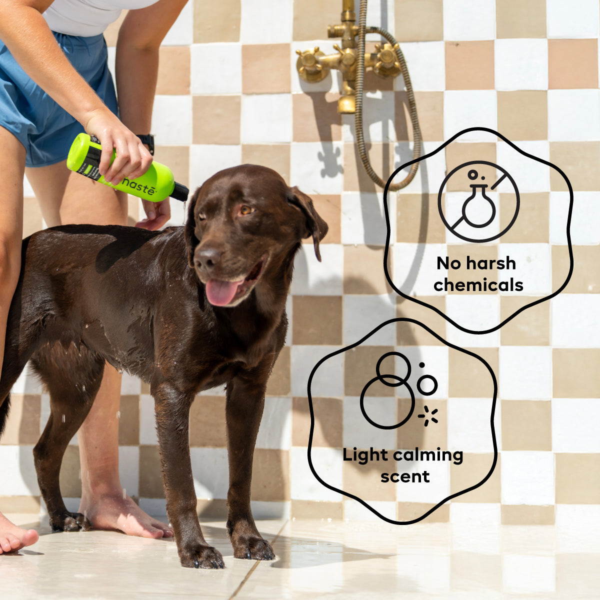 Aloe Glow Premium Pet Shampoo