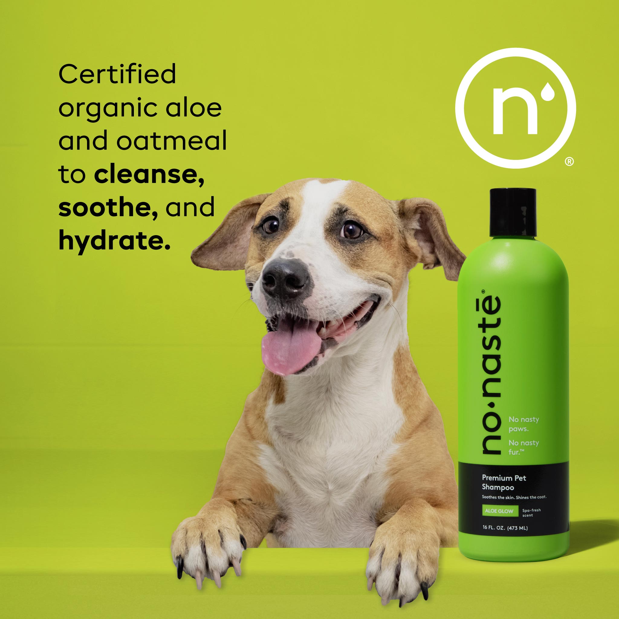 Aloe Glow Premium Pet Shampoo | nonaste